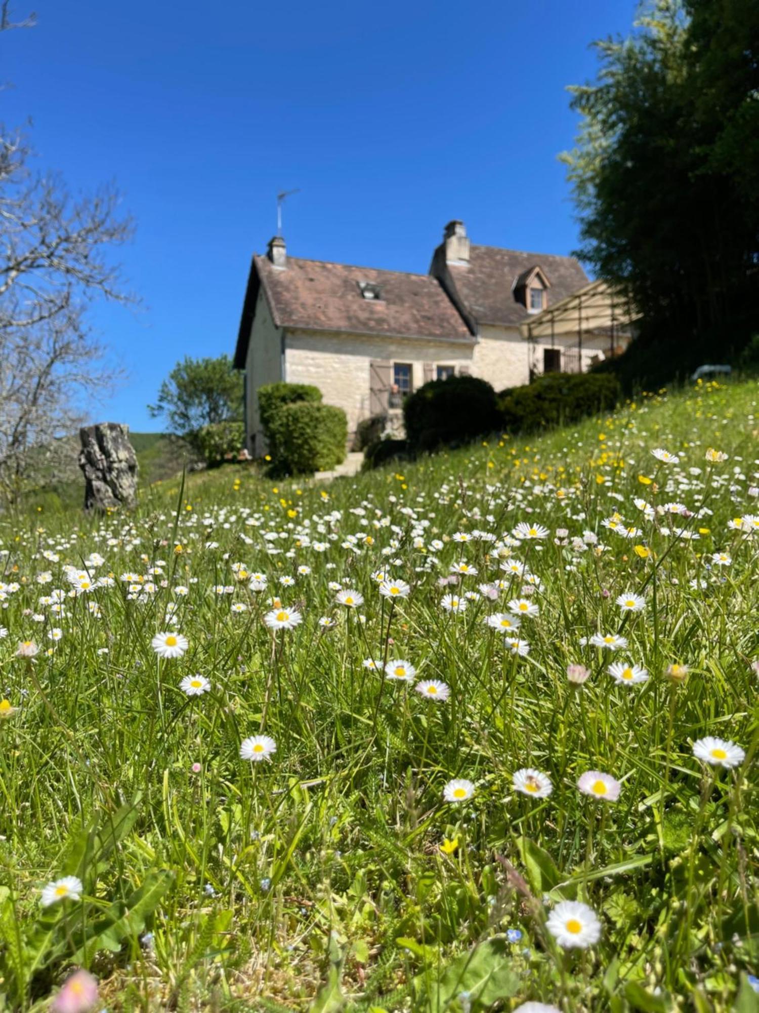Domaine Du Bonheur En Pierre Avec Piscine, Proche Sarlat